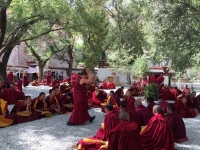 Sera Monastery Monks Debate  » Click to zoom ->