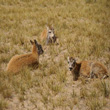 10 days Xi'ning,Qinghai to Lhasa,Tibet