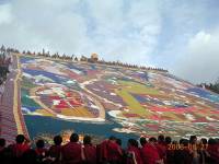 Tibet Shoton Festival 2003  » Click to zoom ->