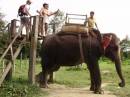 Prasad and his wife in Nepal, riding Elephant  &raquo; Click to zoom ->