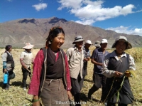   &raquo; Click to zoom ->