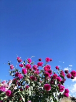   &raquo; Click to zoom ->