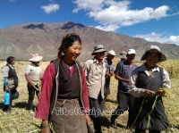   &raquo; Click to zoom ->