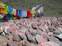   &raquo; Click to zoom ->