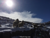   &raquo; Click to zoom ->