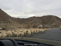   &raquo; Click to zoom ->