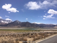   &raquo; Click to zoom ->