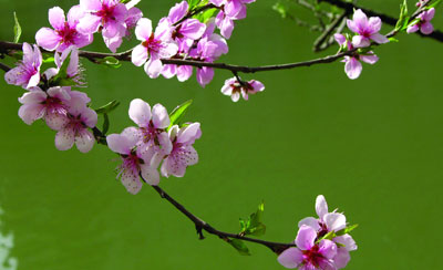 17 days Faraway Mountains & People