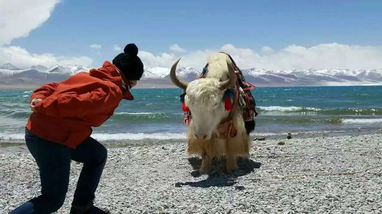 Tibet Tours with Tibet CTrip